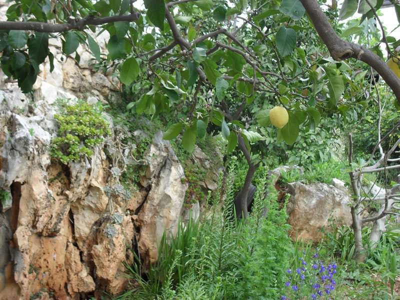 CROSurf house & grounds &mdash; photo 9