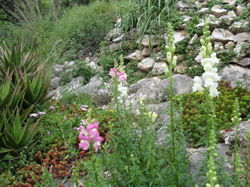 CROSurf house & grounds &mdash; photo 13