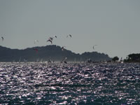 Windsurfing on the Peljesac Channel